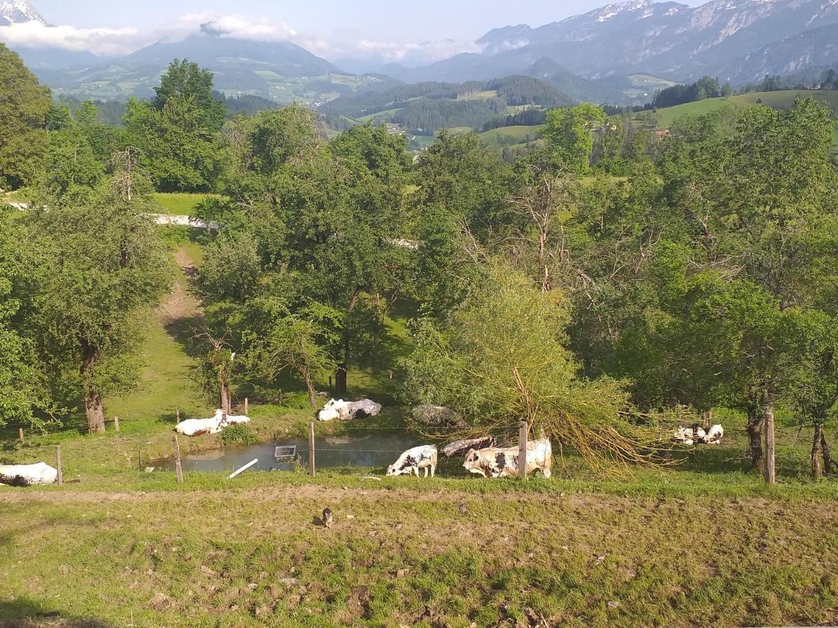 Landhotel Oberwengerhof Spital Am Pyhrn Eksteriør billede